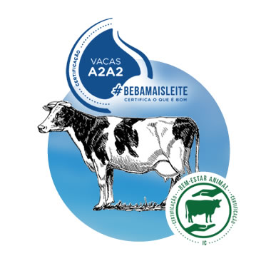 Certificação - Vacas A2A2